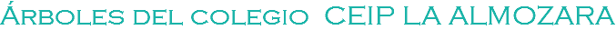 Árboles del colegio CEIP LA ALMOZARA